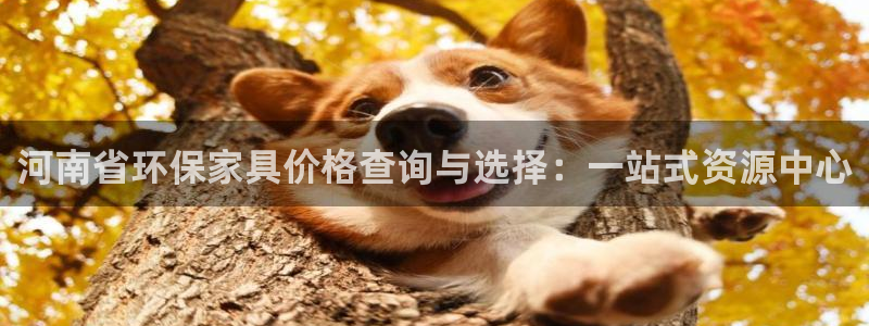 杏宇平台分红：河南省环保家具价格查询与选择：一站式资源中心