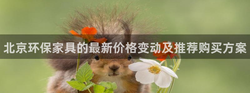 杏宇平台官网网址