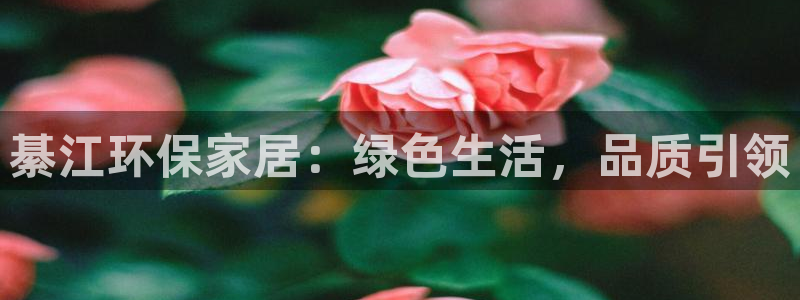 杏宇总代理