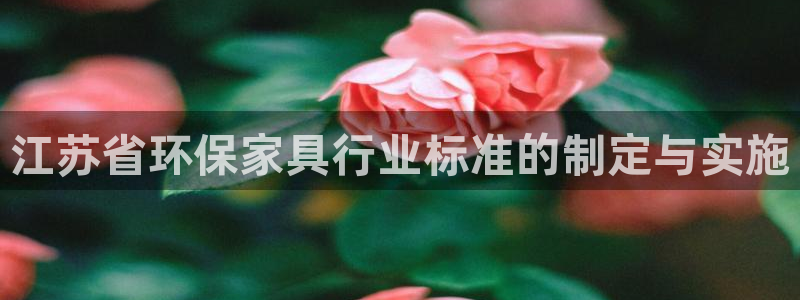 杏宇登陆测速：江苏省环保家具行业标准的制定与实施