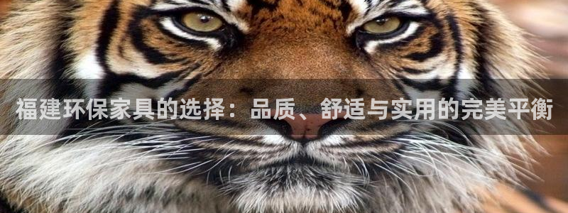 杏宇平台官网网址