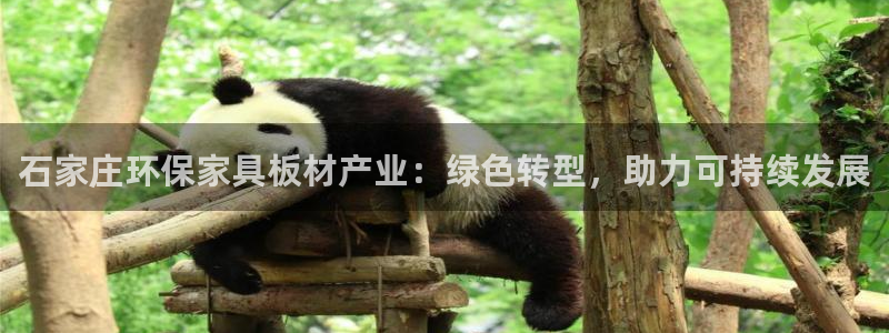 杏宇注册线路：石家庄环保家具板材产业：绿色转型，助力可持续发