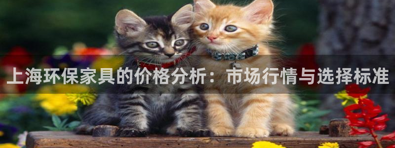 杏宇平台登录入口：上海环保家具的价格分析：市场行情与选择标准
