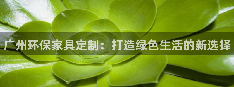 杏宇平台没有了：广州环保家具定制：打造绿色生活的新选择
