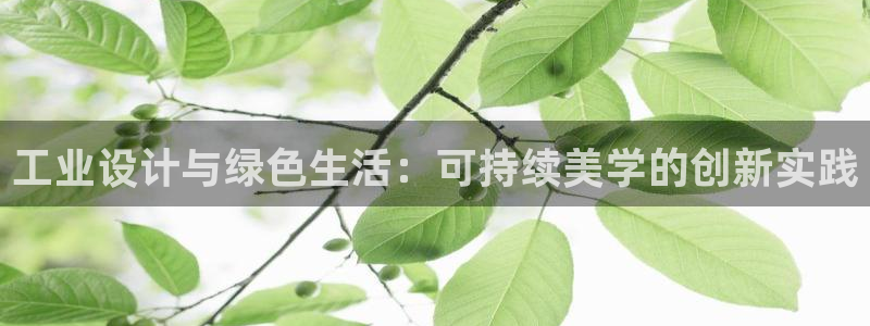 杏宇平台登录地址：工业设计与绿色生活：可持续美学的创新实践