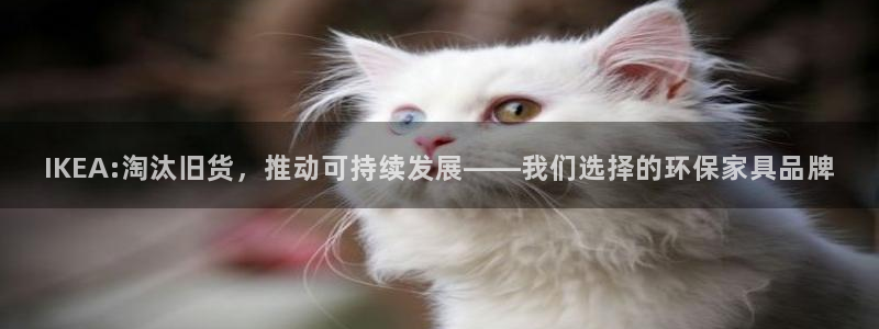 杏宇3代理