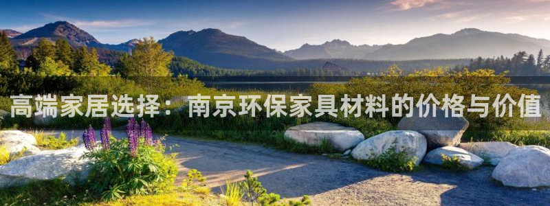杏宇代理日工资多少：高端家居选择：南京环保家具材料的价格与价