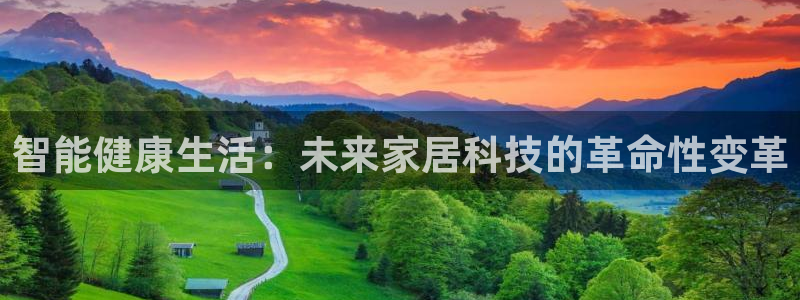 杏宇是什么平台