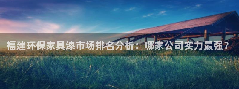 杏宇平台还在吗：福建环保家具漆市场排名分析：哪家公司实力最强