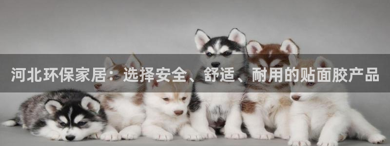 杏宇官网注册：河北环保家居：选择安全、舒适、耐用的贴面胶产品