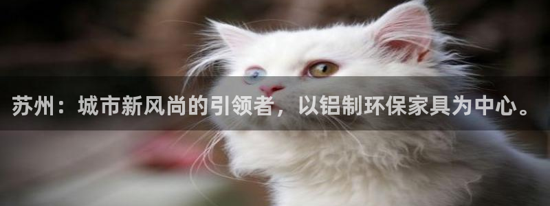 杏宇代理注册：苏州：城市新风尚的引领者，以铝制环保家具为中心
