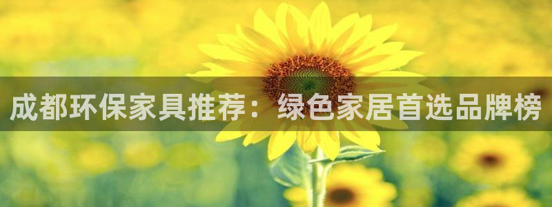 杏宇线路5检测：成都环保家具推荐：绿色家居首选品牌榜