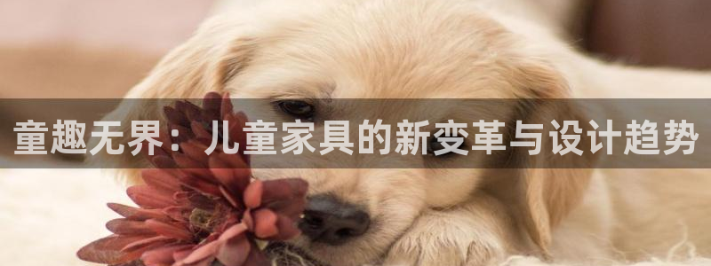 杏宇代理登录中心怎么进：童趣无界：儿童家具的新变革与设计趋势
